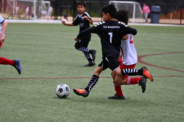 Action shot 703 Warriors Player in game